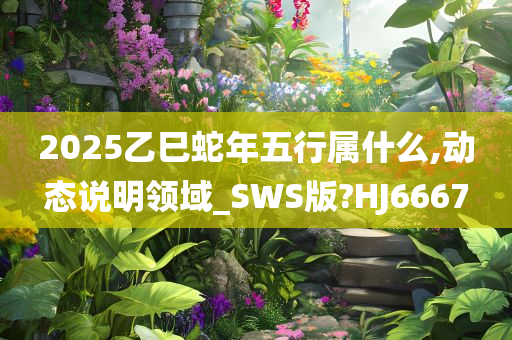 2025乙巳蛇年五行属什么,动态说明领域_SWS版?HJ6667