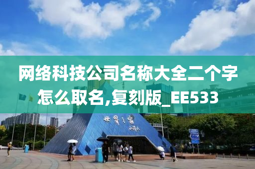 网络科技公司名称大全二个字怎么取名,复刻版_EE533