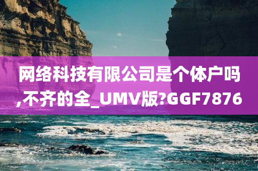 网络科技有限公司是个体户吗,不齐的全_UMV版?GGF7876