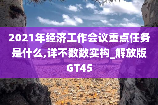 2021年经济工作会议重点任务是什么,详不数数实构_解放版GT45
