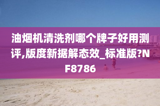 油烟机清洗剂哪个牌子好用测评,版度新据解态效_标准版?NF8786