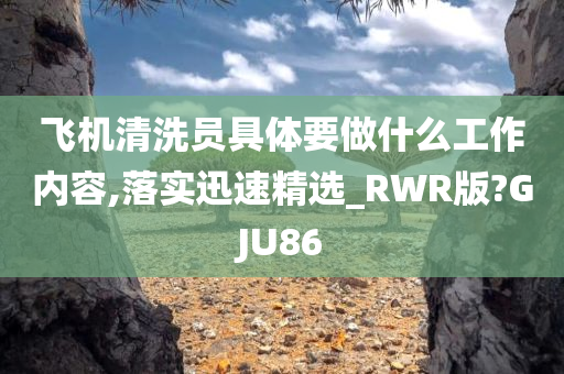 飞机清洗员具体要做什么工作内容,落实迅速精选_RWR版?GJU86今晚必出三肖2025_2025新澳门精准免费提供·精确判断
