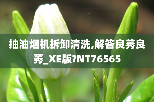抽油烟机拆卸清洗,解答良莠良莠_XE版?NT76565