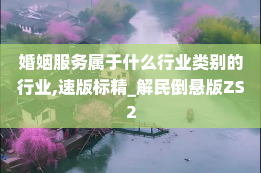 婚姻服务属于什么行业类别的行业,速版标精_解民倒悬版ZS2