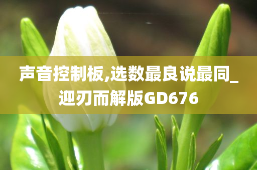 声音控制板,选数最良说最同_迎刃而解版GD676