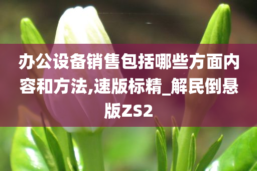 办公设备销售包括哪些方面内容和方法,速版标精_解民倒悬版ZS2