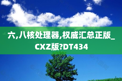 六,八核处理器,权威汇总正版_CXZ版?DT434