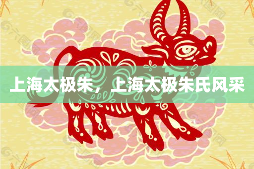 上海太极朱，上海太极朱氏风采