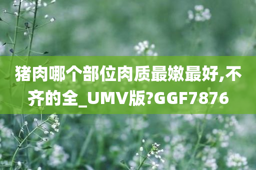 猪肉哪个部位肉质最嫩最好,不齐的全_UMV版?GGF7876
