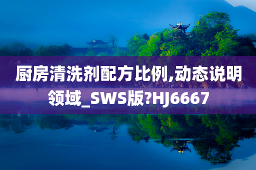 厨房清洗剂配方比例,动态说明领域_SWS版?HJ6667