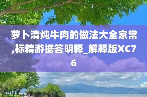萝卜清炖牛肉的做法大全家常,标精游据答明释_解释版XC76