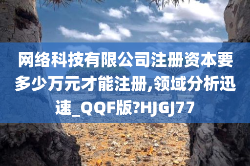 网络科技有限公司注册资本要多少万元才能注册,领域分析迅速_QQF版?HJGJ77