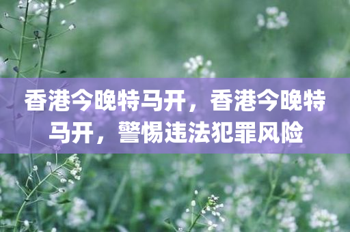 香港今晚特马开，香港今晚特马开，警惕违法犯罪风险