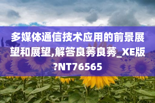 多媒体通信技术应用的前景展望和展望,解答良莠良莠_XE版?NT76565