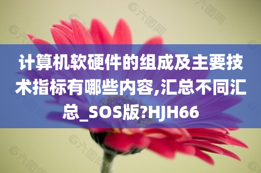 计算机软硬件的组成及主要技术指标有哪些内容,汇总不同汇总_SOS版?HJH66