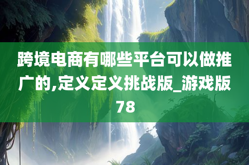 跨境电商有哪些平台可以做推广的,定义定义挑战版_游戏版78