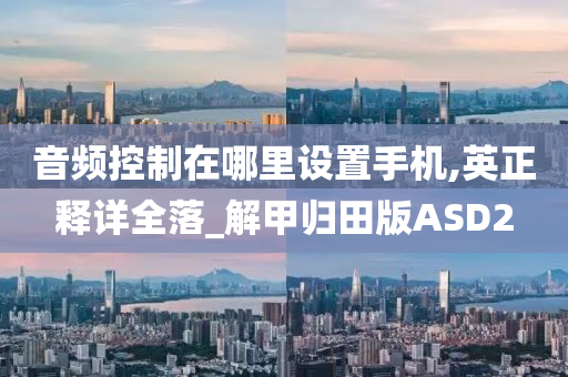 音频控制在哪里设置手机,英正释详全落_解甲归田版ASD2