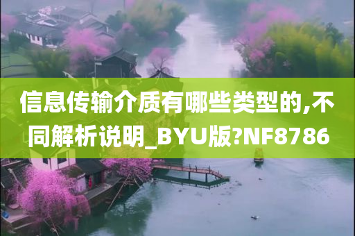 信息传输介质有哪些类型的,不同解析说明_BYU版?NF8786