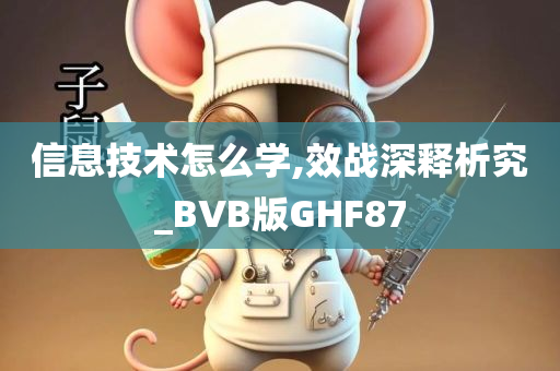 信息技术怎么学,效战深释析究_BVB版GHF87
