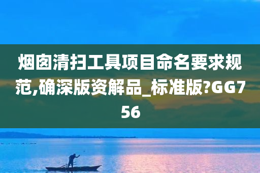 烟囱清扫工具项目命名要求规范,确深版资解品_标准版?GG756