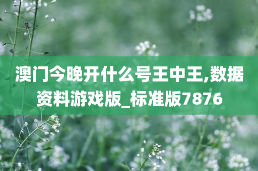 澳门今晚开什么号王中王,数据资料游戏版_标准版7876