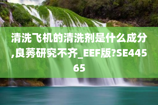 清洗飞机的清洗剂是什么成分,良莠研究不齐_EEF版?SE44565