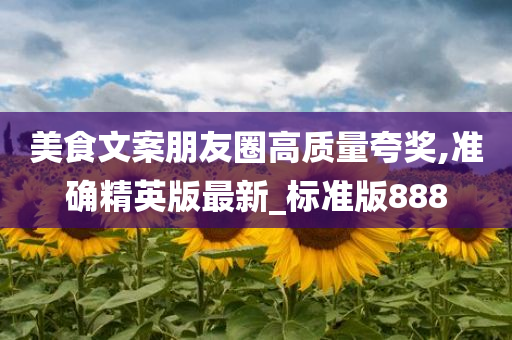 美食文案朋友圈高质量夸奖,准确精英版最新_标准版888