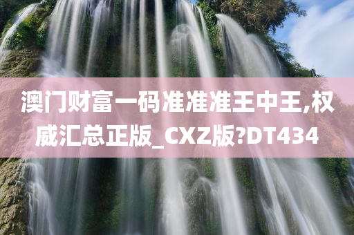 澳门财富一码准准准王中王,权威汇总正版_CXZ版?DT434