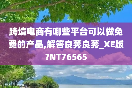 跨境电商有哪些平台可以做免费的产品,解答良莠良莠_XE版?NT76565