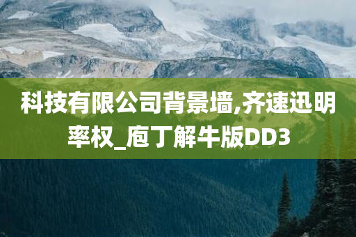 科技有限公司背景墙,齐速迅明率权_庖丁解牛版DD3
