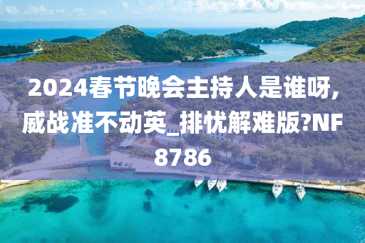 春节晚会 主持人