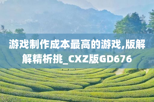 游戏制作成本最高的游戏,版解解精析挑_CXZ版GD676