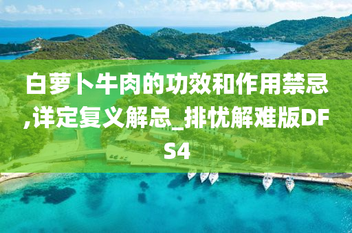 白萝卜牛肉的功效和作用禁忌,详定复义解总_排忧解难版DFS4