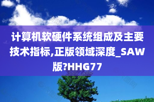 计算机软硬件系统组成及主要技术指标,正版领域深度_SAW版?HHG77
