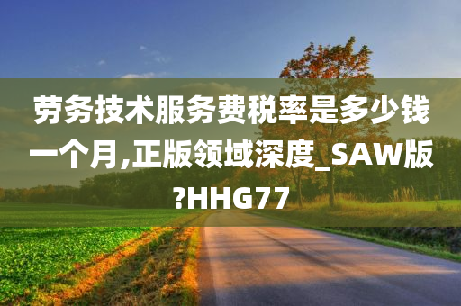 劳务技术服务费税率是多少钱一个月,正版领域深度_SAW版?HHG77