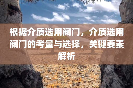 根据介质选用阀门，介质选用阀门的考量与选择，关键要素解析