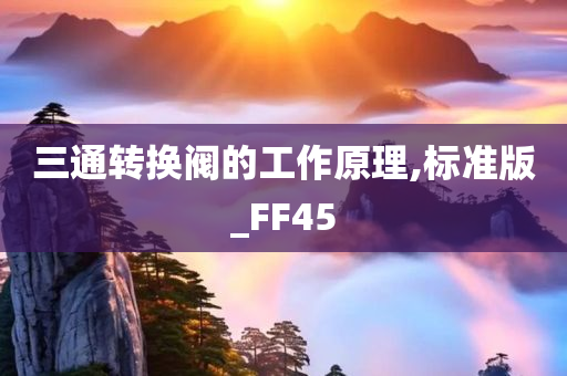 三通转换阀的工作原理,标准版_FF45