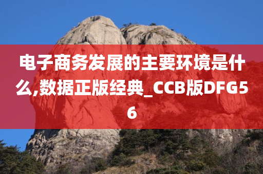 电子商务发展的主要环境是什么,数据正版经典_CCB版DFG56
