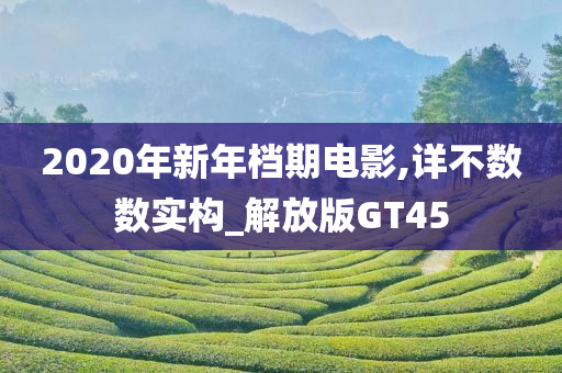 2020年新年档期电影,详不数数实构_解放版GT45