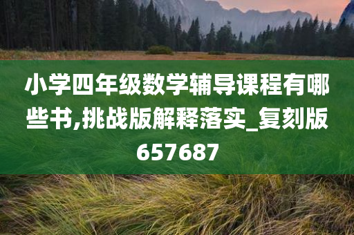 小学四年级数学辅导课程有哪些书,挑战版解释落实_复刻版657687