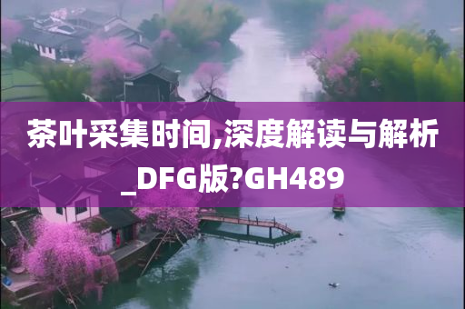 茶叶采集时间,深度解读与解析_DFG版?GH489