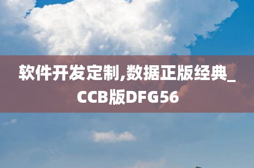 软件开发定制,数据正版经典_CCB版DFG56