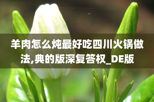 羊肉怎么炖最好吃四川火锅做法,典的版深复答权_DE版