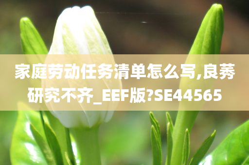 家庭劳动任务清单怎么写,良莠研究不齐_EEF版?SE44565