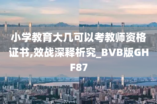 小学教育大几可以考教师资格证书,效战深释析究_BVB版GHF87