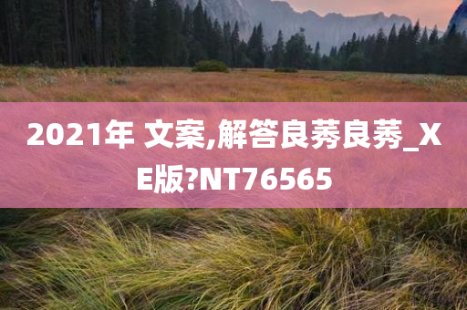 2021年 文案,解答良莠良莠_XE版?NT76565