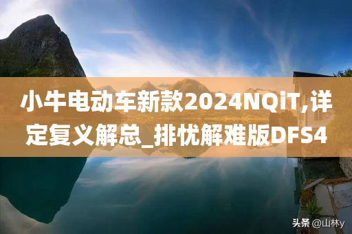 小牛电动车新款2024NQiT,详定复义解总_排忧解难版DFS4