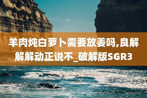 羊肉炖白萝卜需要放姜吗,良解解解动正说不_破解版SGR3