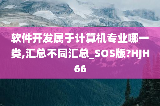 软件开发属于计算机专业哪一类,汇总不同汇总_SOS版?HJH66