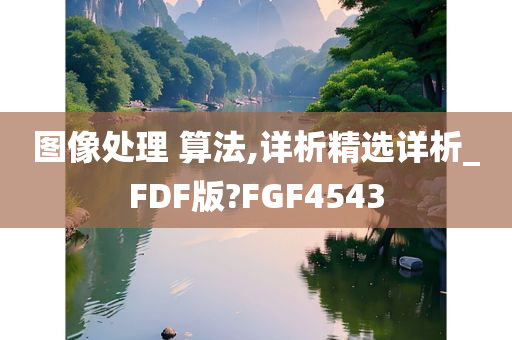 图像处理 算法,详析精选详析_FDF版?FGF4543